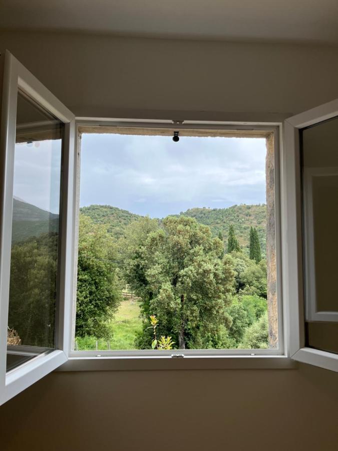 Appartement Soveria 외부 사진